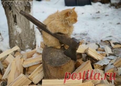 Любишь на печке греться - люби и дрова рубить