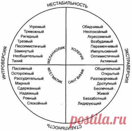 типы темперамента