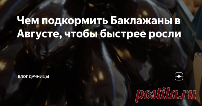 Чем подкормить Баклажаны в Августе, чтобы быстрее росли Добрый день уважаемые подписчики и гости моего канала. В этой статье я хочу рассказать Вам Чем подкормить Баклажаны в Августе, чтобы быстрее росли и не сохли на кусте. Баклажан – один из самых капризных овощей,  над которым нужно хорошенько потрудиться на участке. Правильный уход, хорошие и своевременные  подкормки, климат и полив – всё это влияет на качество будущих плодов. В этой статье я расскажу,  как подкармливат...