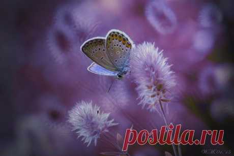 (+1) тема - 37 фотографий о том, что природа нас любит | НАУКА И ЖИЗНЬ