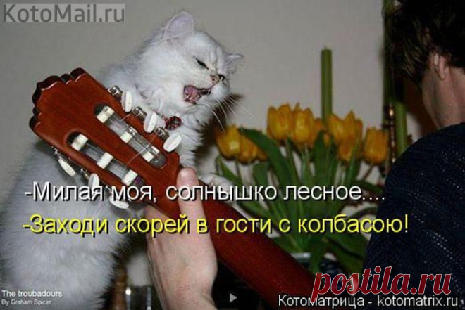 Подпевает о своём))) | KotoMail.ru