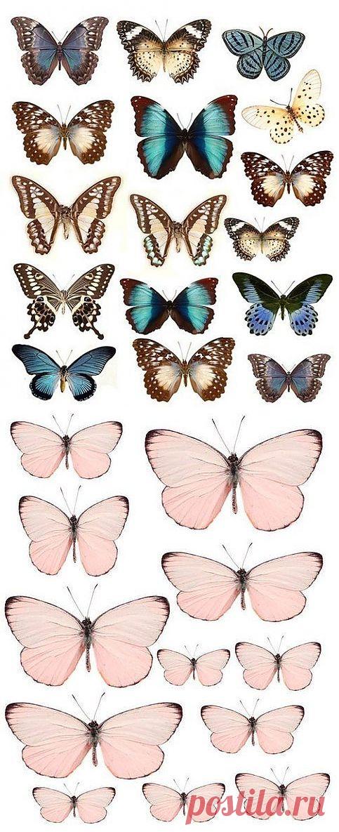 может пригодится для чего угодно! / Работа с бумагой / PassionForum - мастер-классы по рукоделию