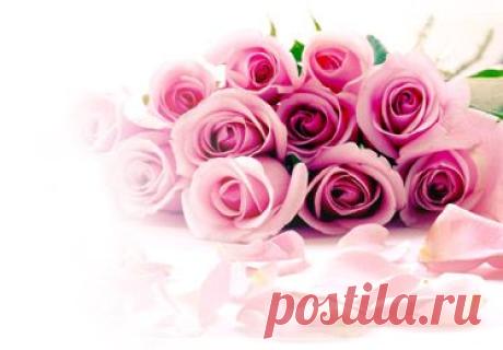 Поздравления стихи с Днем Рождения