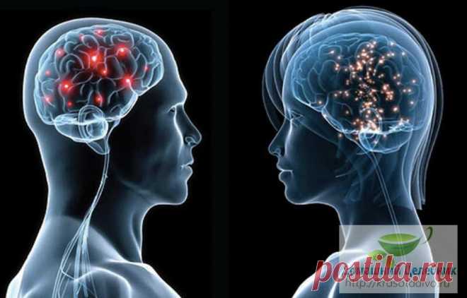 Эти точки снимут головную боль за 5 минут 


Из 6 миллиардов людей, проживающих в настоящее время на Земле, лишь очень немногие могут похвастаться тем, что они никогда не испытывали головную боль.
Точки снятия головной боли
Точка № 1.
Если пр…
