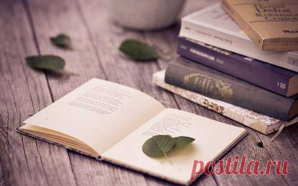 4 отличные книги по интеллектуальному развитию

1. «Техника развития памяти. Самоучитель» — О. А. Андреев. В книге представлены занятия по тренировке памяти, которые позволят вам в совершенстве развить те механизмы вашего мозга, которые отвечают за запоминание и хранение информации. Описание рекомендуемых для тренировки упражнений и порядок работы над ними.

Показать полностью…