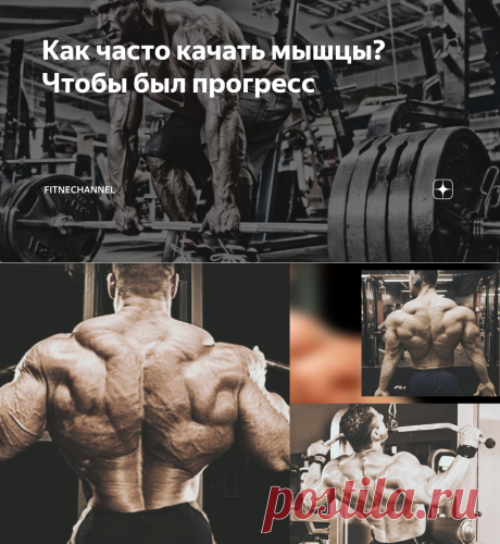 Как часто качать мышцы? Чтобы был прогресс | fitnechannel | Дзен