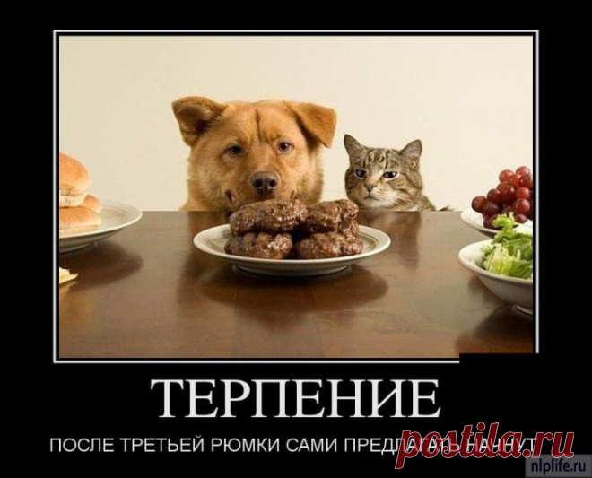 А ведб так и есть