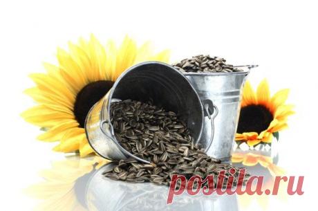 ЧТО ПРИГОТОВИТЬ С СЕМЕЧКАМИ