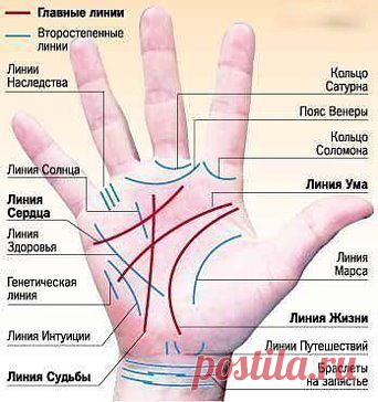 Профессия на ладони