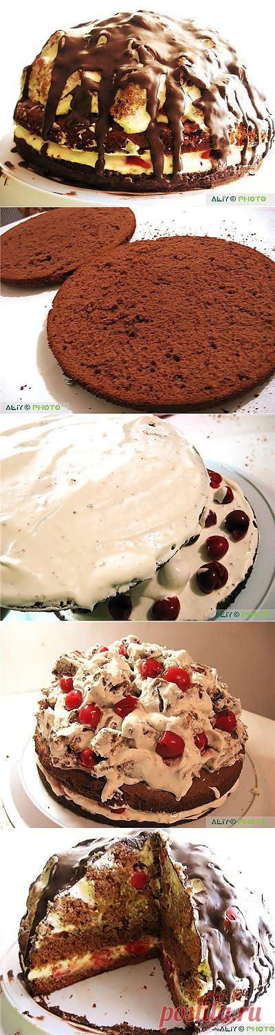 265. Торт "Вишневый пинчер"