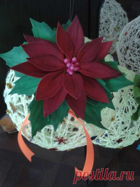 Фотографии Любы Назаровой – 8 альбомов