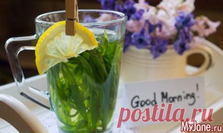 Маленький дракон - тархун, эстрагон, травы, пряности, приправы