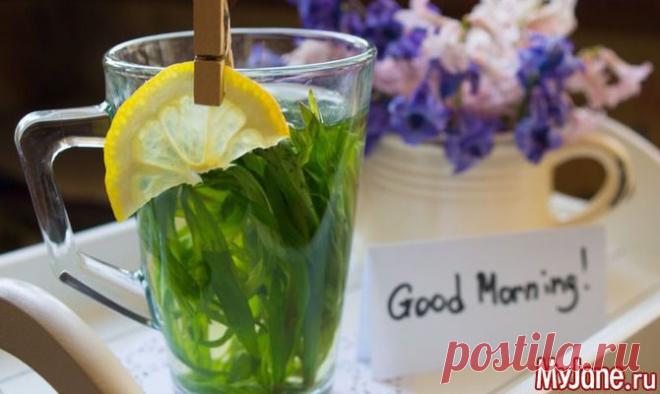 Маленький дракон - тархун, эстрагон, травы, пряности, приправы