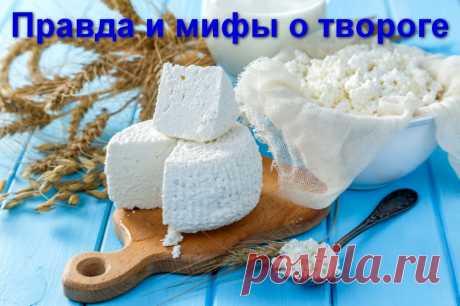 Вся правда и мифы о твороге - консультация врача