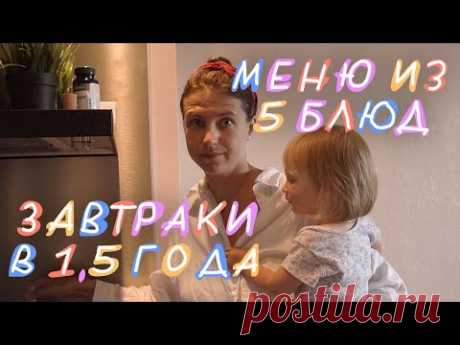 Завтраки в 1,5 года. Меню из 5 блюд