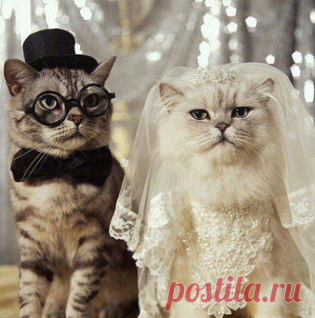 Интересные новости