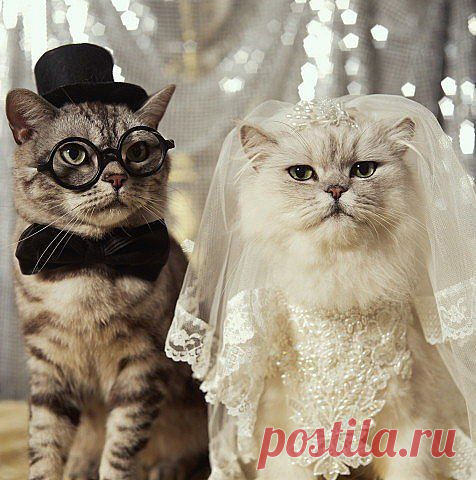 Интересные новости
