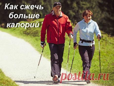 Как сжечь больше калорий во время тренировки по скандинавской ходьбе? – часть 1