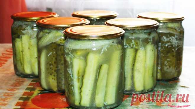 ОГУРЦЫ 