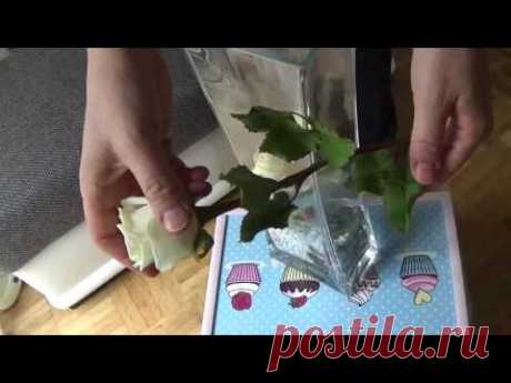 Розы из Холодного Фарфора  в высокой вазе