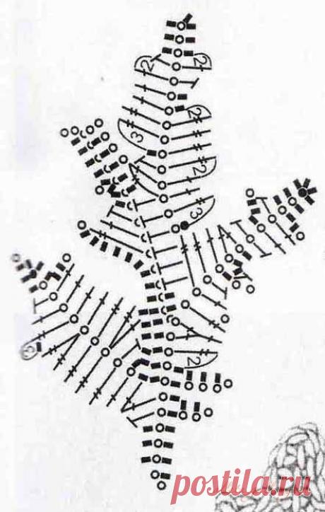 Gallery.ru / Фото #4 - Хризантема - Alleta
