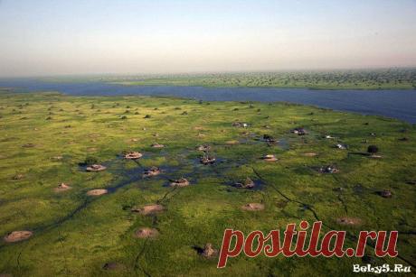 Непроходимые болота Судд в Южном Судане