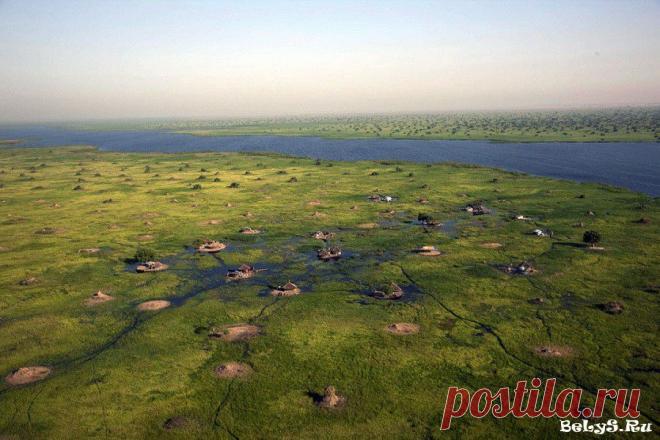 Непроходимые болота Судд в Южном Судане