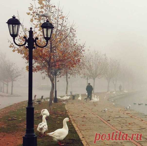 #Кастория@discoverygroup