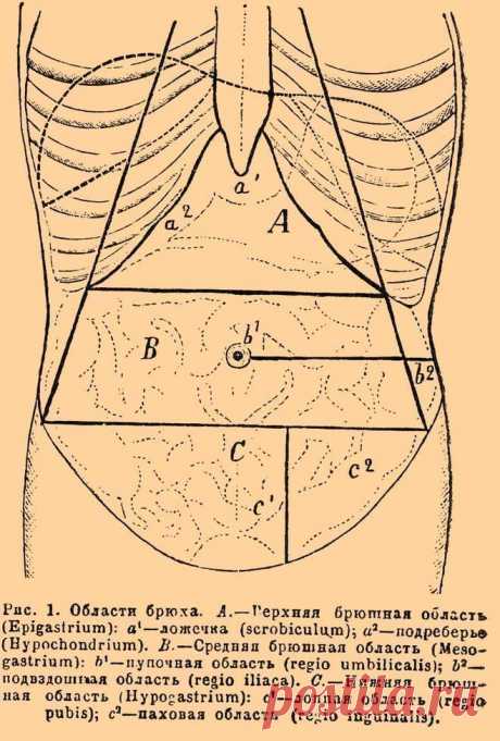 Сосет под ложечкой: это голод или нет?