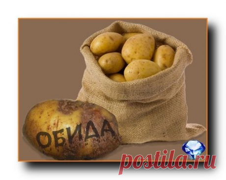 Обида...