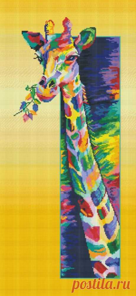 Gallery.ru / Фото #21 - Радужное - Norsvet