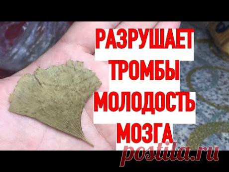 Выбросила Все ТАБЛЕТКИ! Молодость МОЗГА , Разрушает ТРОМБЫ! ! Склероз не СТРАШЕН.