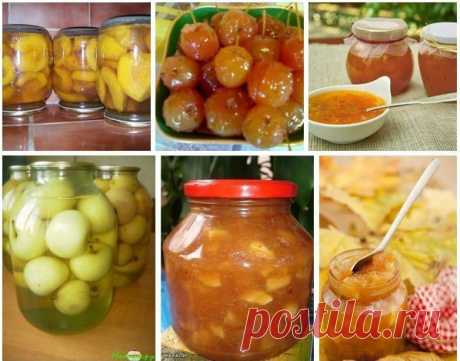ЗАГОТОВКИ ИЗ ЯБЛОК. 13 РЕЦЕПТОВ.