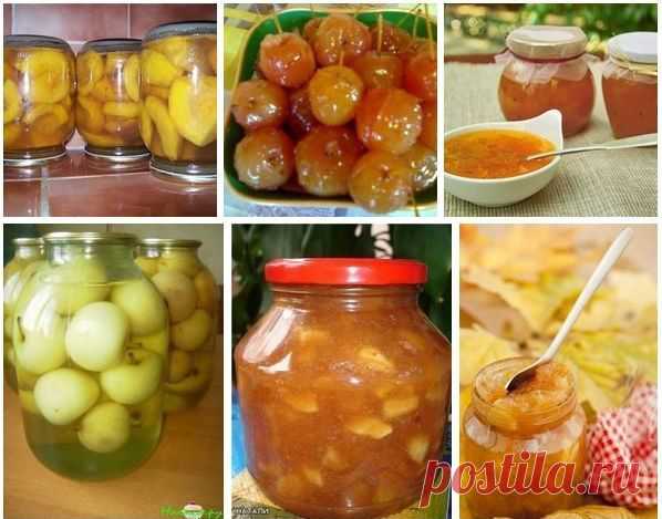ЗАГОТОВКИ ИЗ ЯБЛОК. 13 РЕЦЕПТОВ.