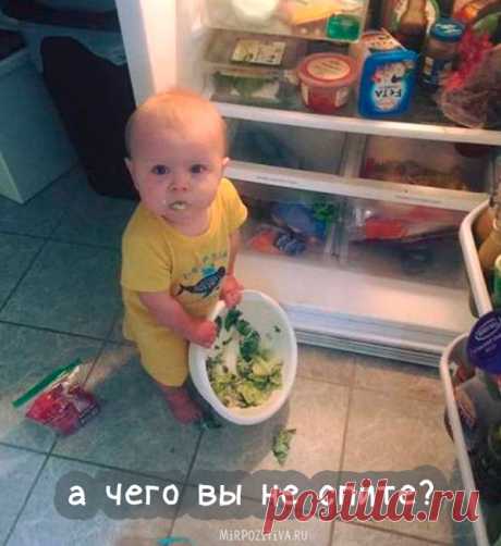 Смешные картинки