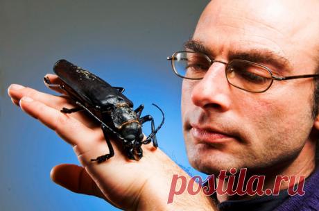 Притча о «давать» и «брать»