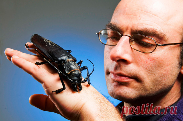 Притча о «давать» и «брать»