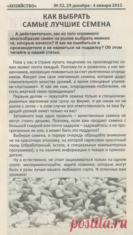 Как выбрать самые лучшие семена