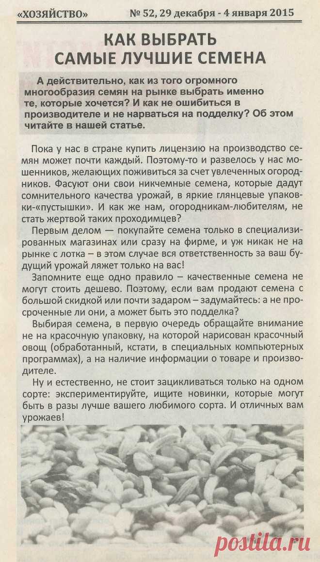 Как выбрать самые лучшие семена