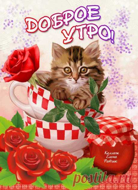 ~⊰♥⊱~ Королевство (●̮̮̃●̃) Позитива ~⊰♥⊱~ 18+
Перешагните, люди, через грусть!
Вы улыбнулись, значит, всё в порядке.
Почаще смейтесь, радуйтесь и пусть
Улыбка станет утренней зарядкой!