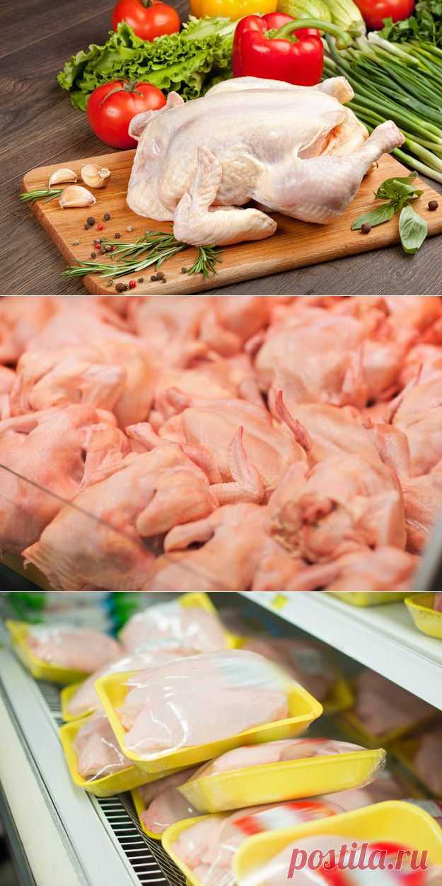 Выбираем курицу