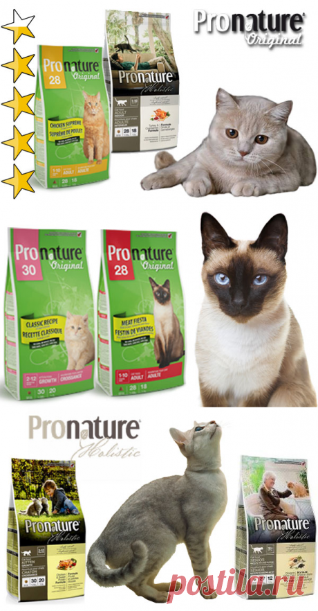Корм для кошек Пронатюр (Pronature): обзор, виды, состав, отзывы