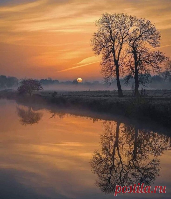 i (736×854)