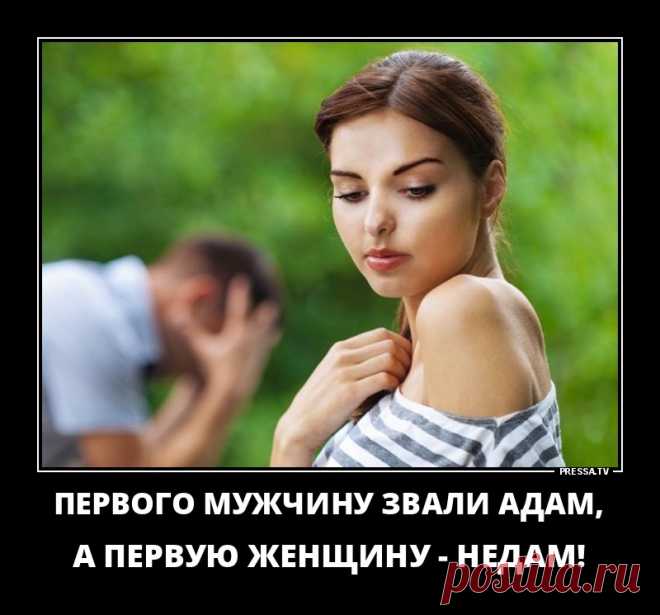 В вагоне даме всю ночь не дает спать храп в соседнем купе.  Та колотит в стенку...