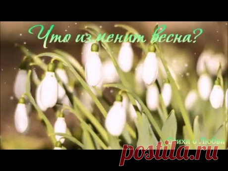 Что изменит весна? Скажи, разве что-то изменит весна? Мы грустим не по марту, Здесь что-то другое. Не кошачьи распевки лишают нас сна И не таянье льдов под в...