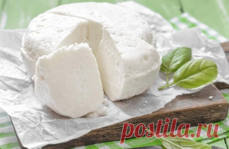Как готовить кисломолочные продукты самостоятельно