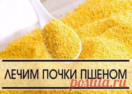 О ЧЕМ МОЛЧАТ ВРАЧИ- ЛЕЧЕНИЕ ПОЧЕК БЕЗ ХИМИИ -ПШЕНОМ !!!