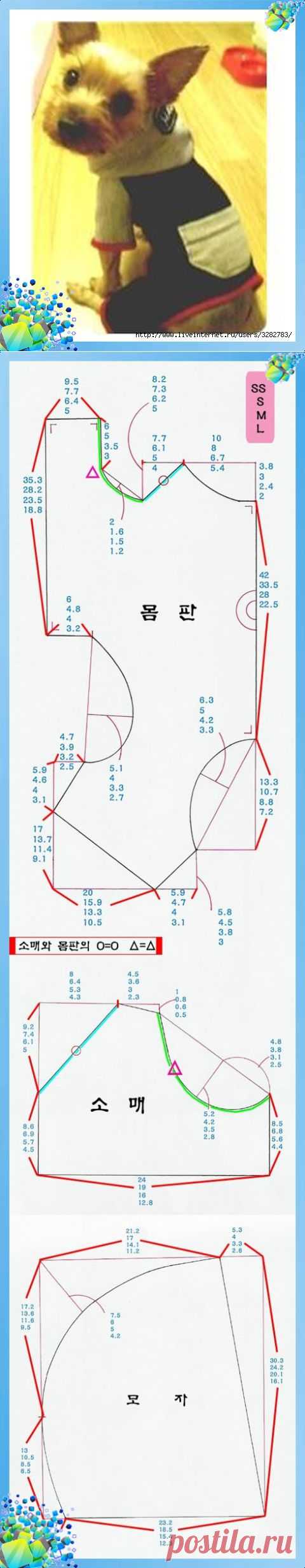 Комбинезон для собаки с выкройкой на четыре размера (SS, S, V, L)