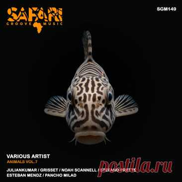 VA - Animals vol.7 SGM149 FLAC » MinimalFreaks.co