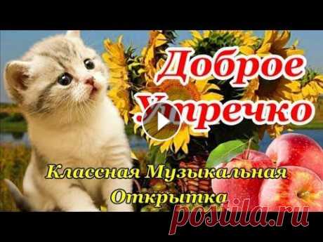 С Добрым Утром! Прекрасного Дня! Самая Красивая Открытка с Чудесной Музыкой! Позитивчик для Друзей! Красивейшие Пожелания Доброго Утра родным и друзьям. Открытка с Добрым Утром друзьям и знакомым! Отправь тем, кого любишь! Музыкальная видео открытка ...